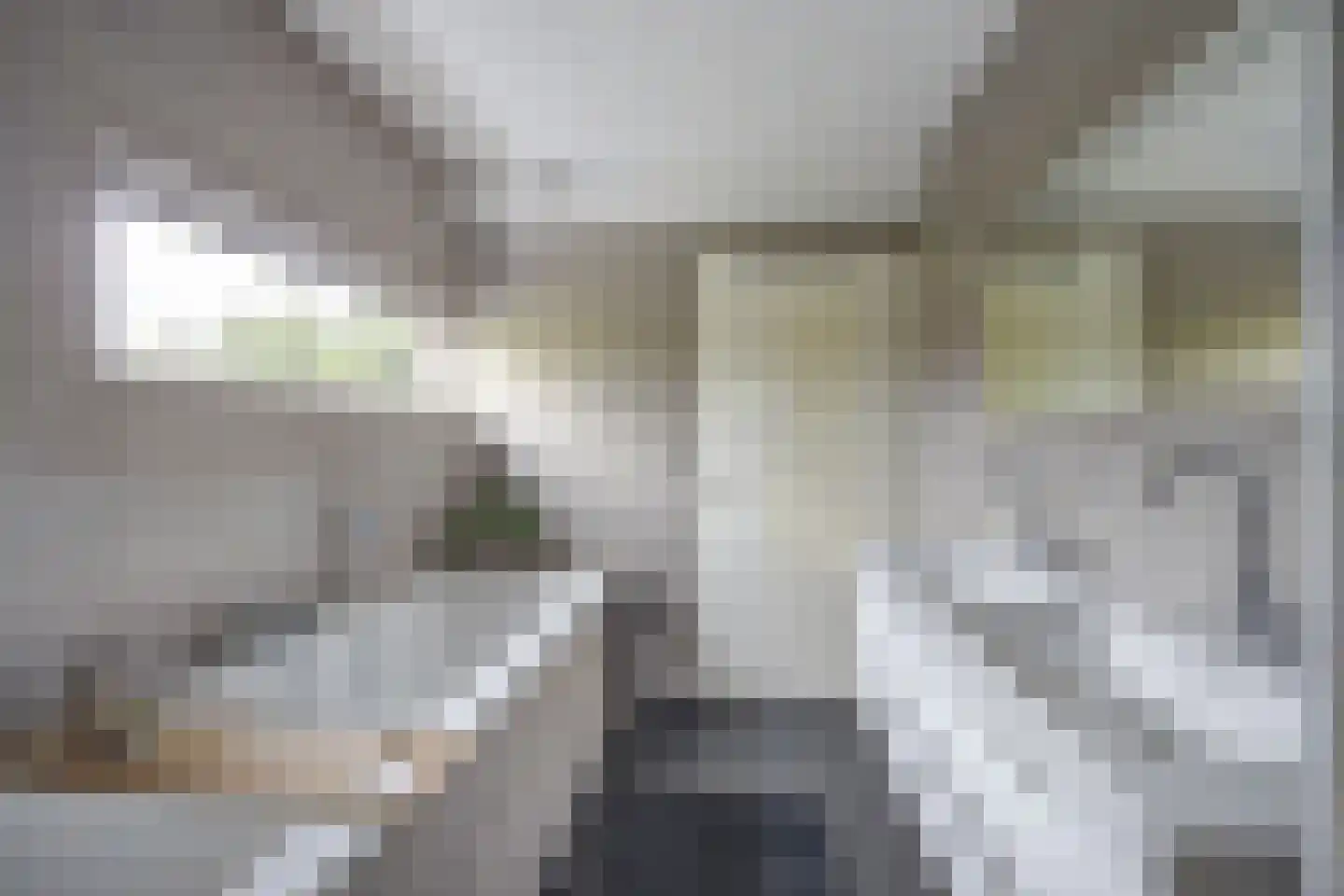 Vlaamse Schuur 8 Etten-Leur thumbnail 33
