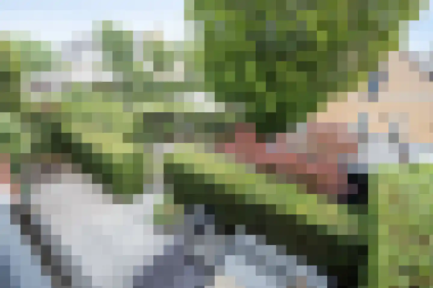 Vlaamse Schuur 8 Etten-Leur thumbnail 42