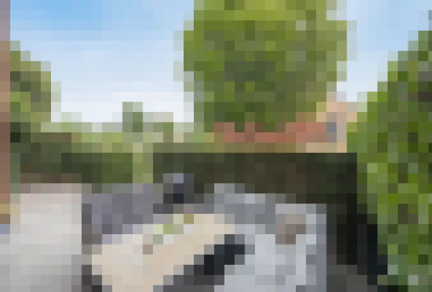 Vlaamse Schuur 8 Etten-Leur thumbnail 43