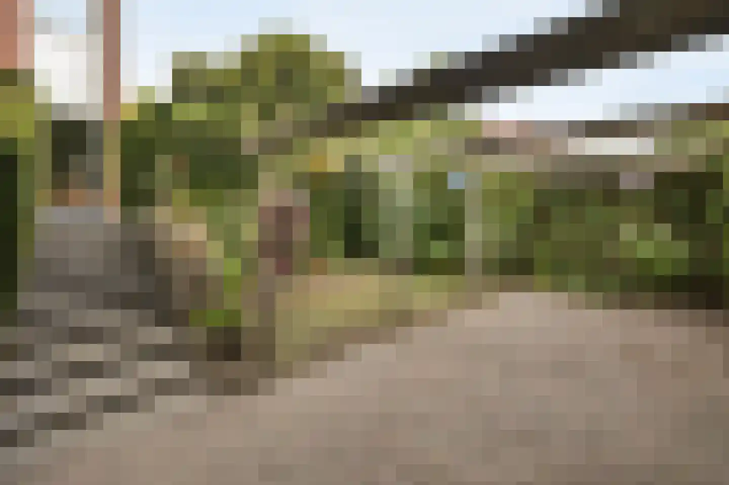 Vlaamse Schuur 8 Etten-Leur thumbnail 46