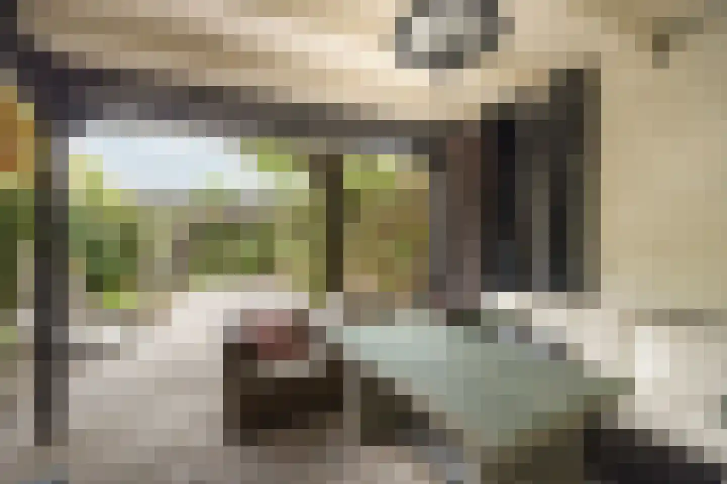 Vlaamse Schuur 8 Etten-Leur thumbnail 48