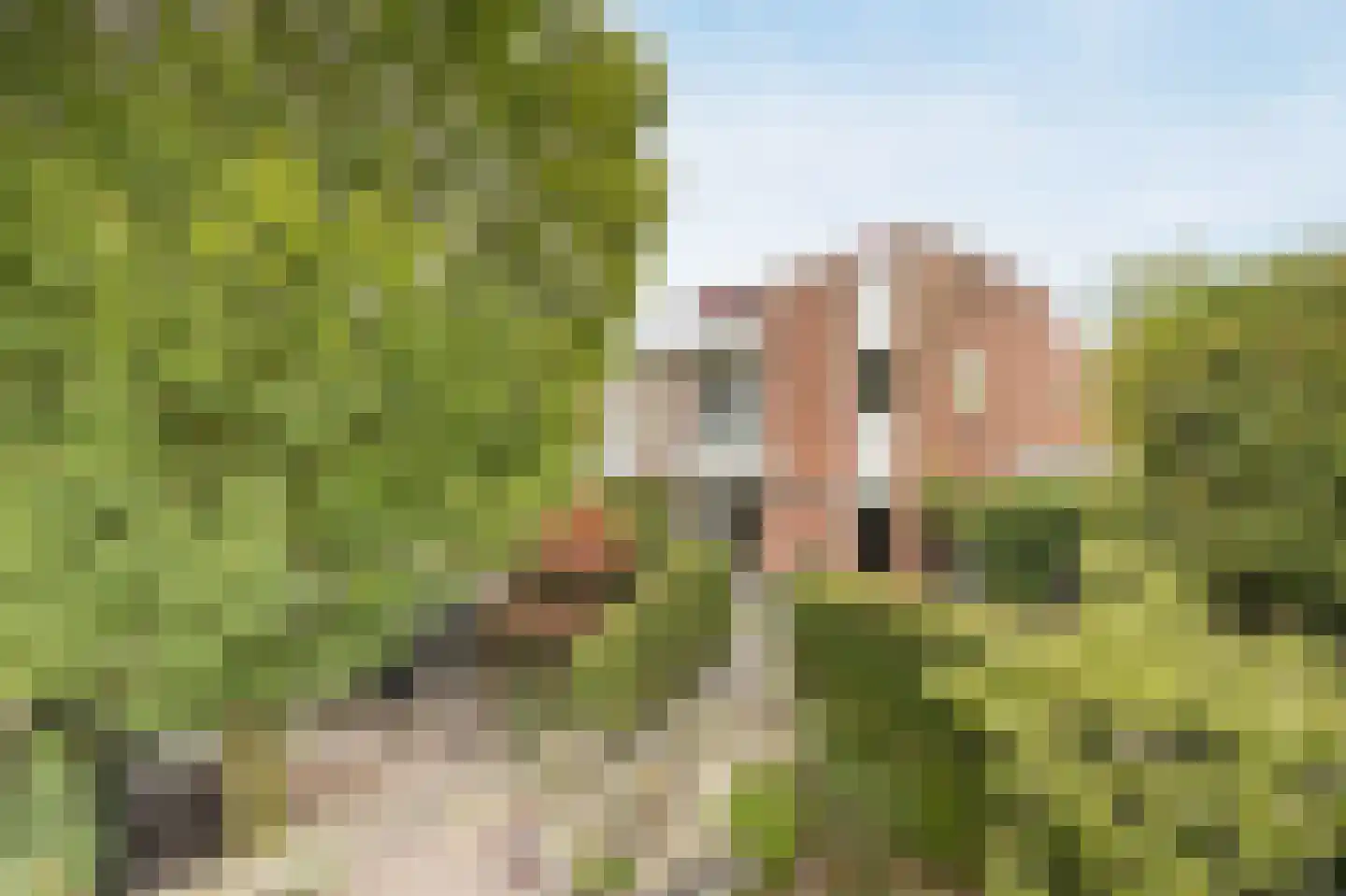 Vlaamse Schuur 8 Etten-Leur thumbnail 52