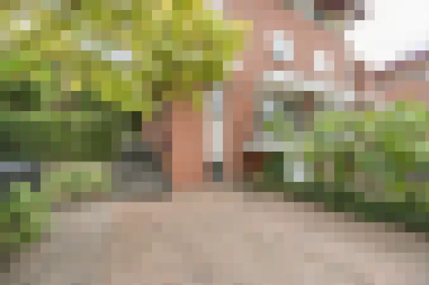 Vlaamse Schuur 8 Etten-Leur thumbnail 53