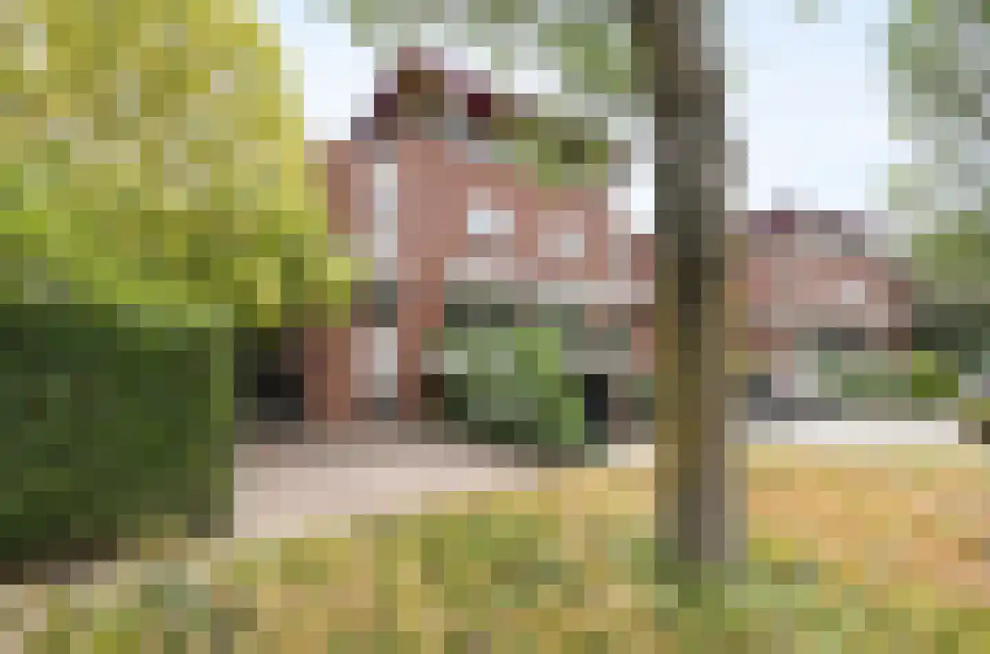 Vlaamse Schuur 8 Etten-Leur thumbnail 54