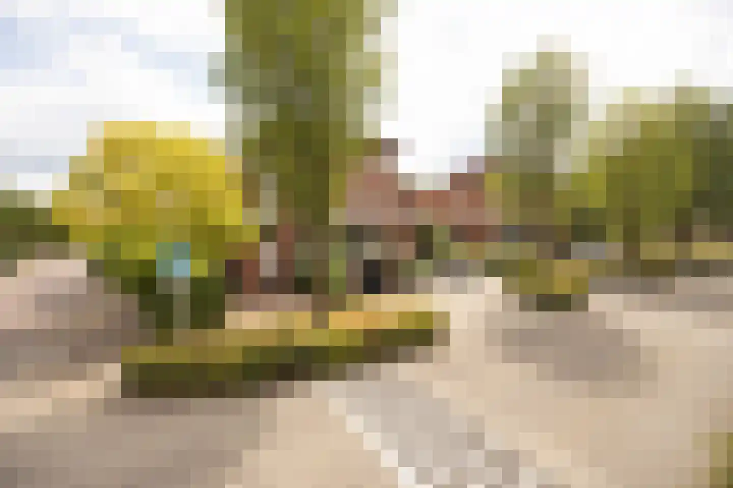 Vlaamse Schuur 8 Etten-Leur thumbnail 58