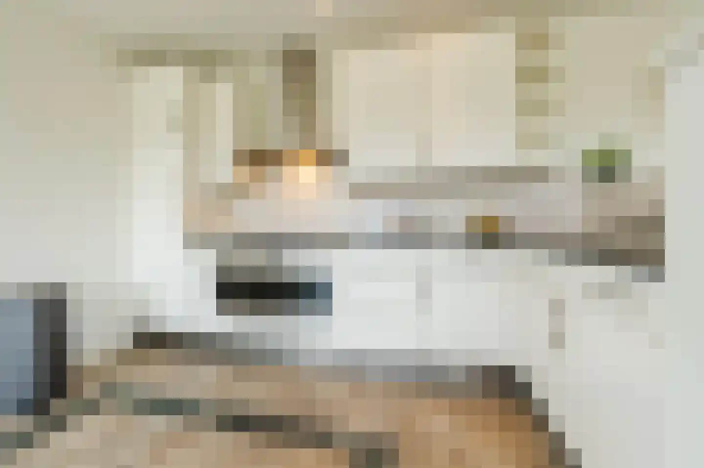 Vlaamseweg 10 Sterksel thumbnail 12