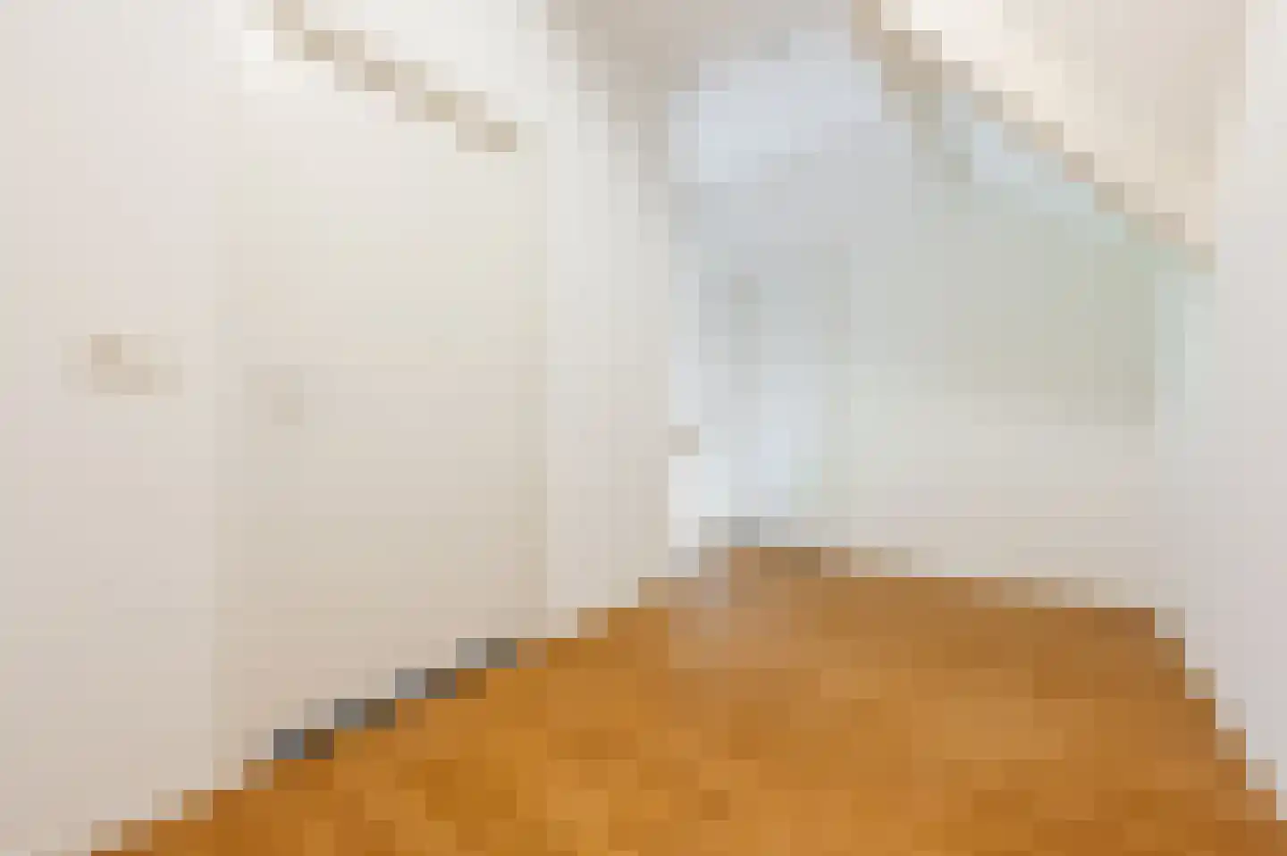 Vlaamseweg 10 Sterksel thumbnail 20