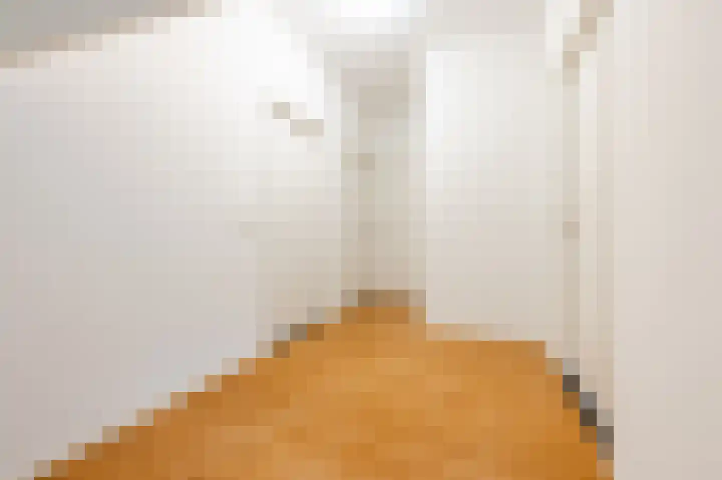Vlaamseweg 10 Sterksel thumbnail 21