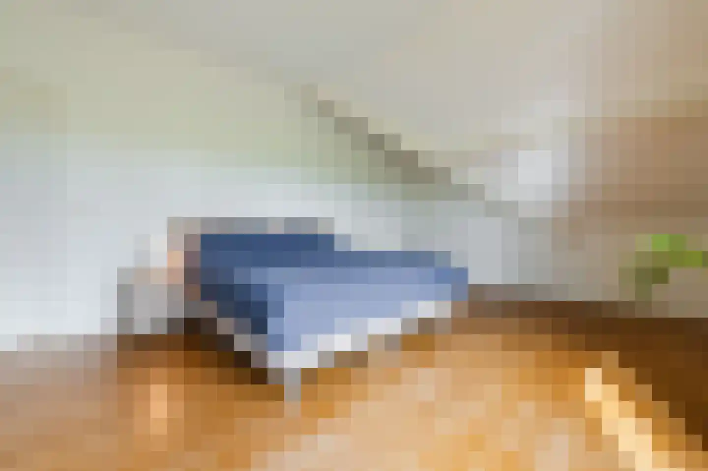 Vlaamseweg 10 Sterksel thumbnail 23