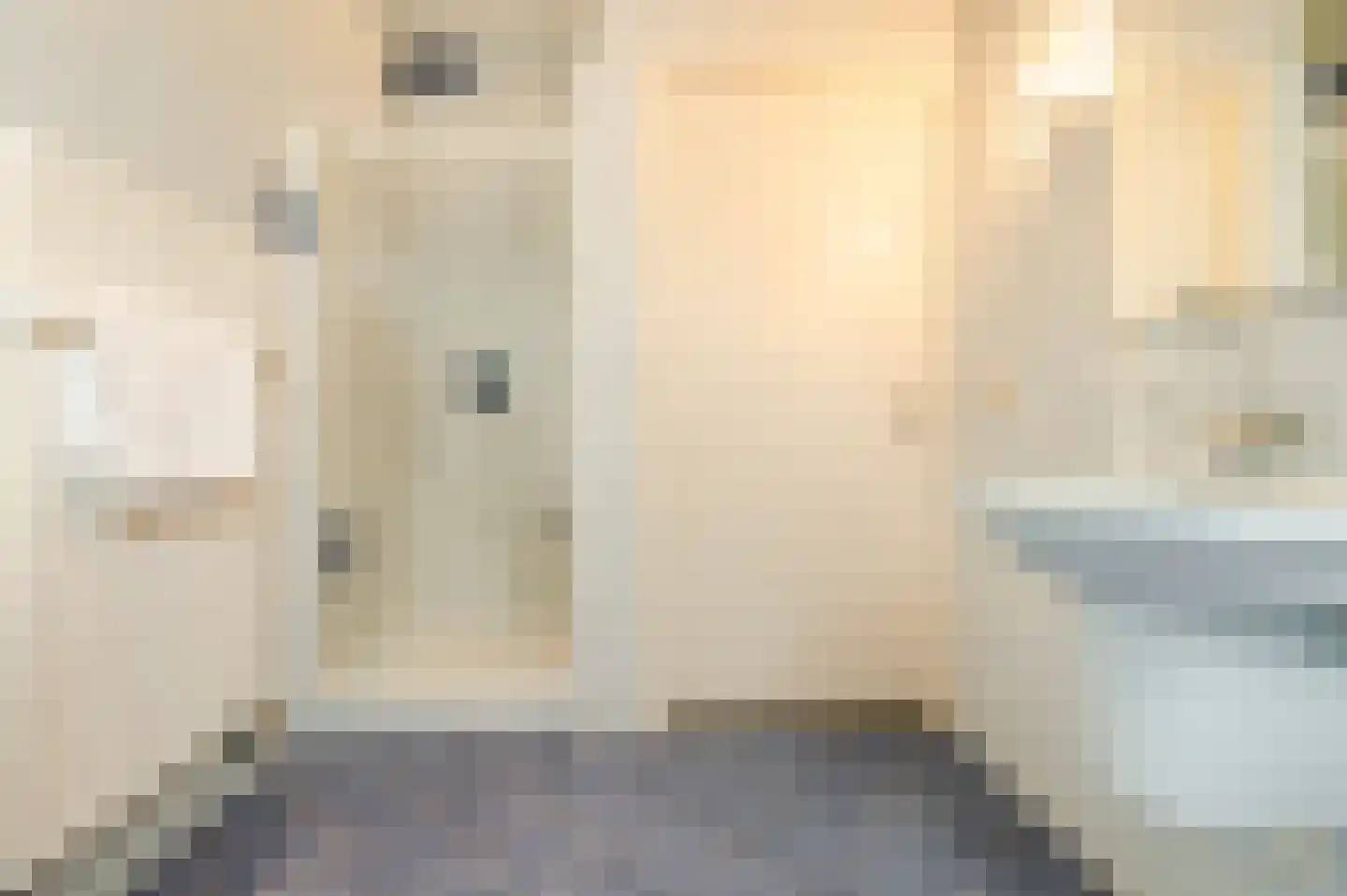Vlaamseweg 10 Sterksel thumbnail 33