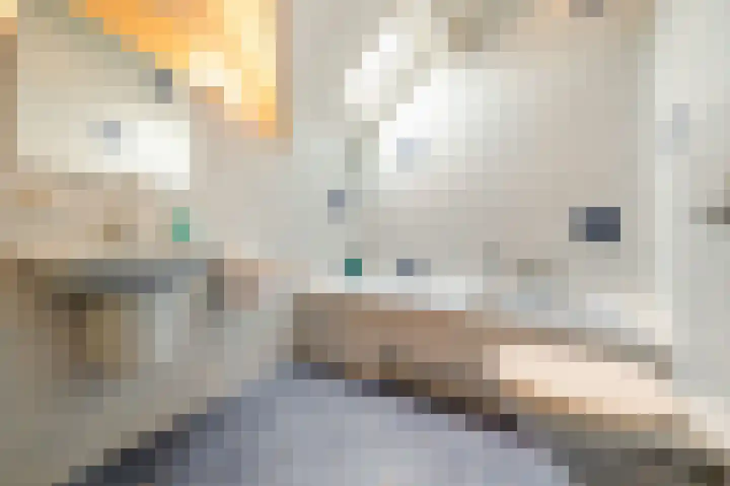 Vlaamseweg 10 Sterksel thumbnail 35