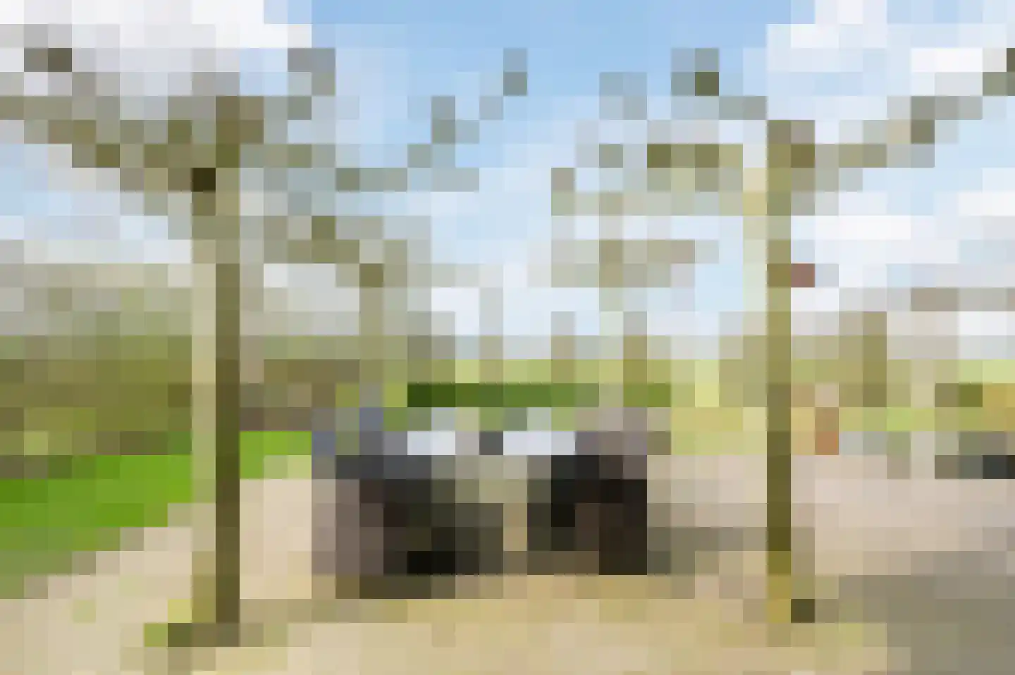 Vlaamseweg 10 Sterksel thumbnail 41