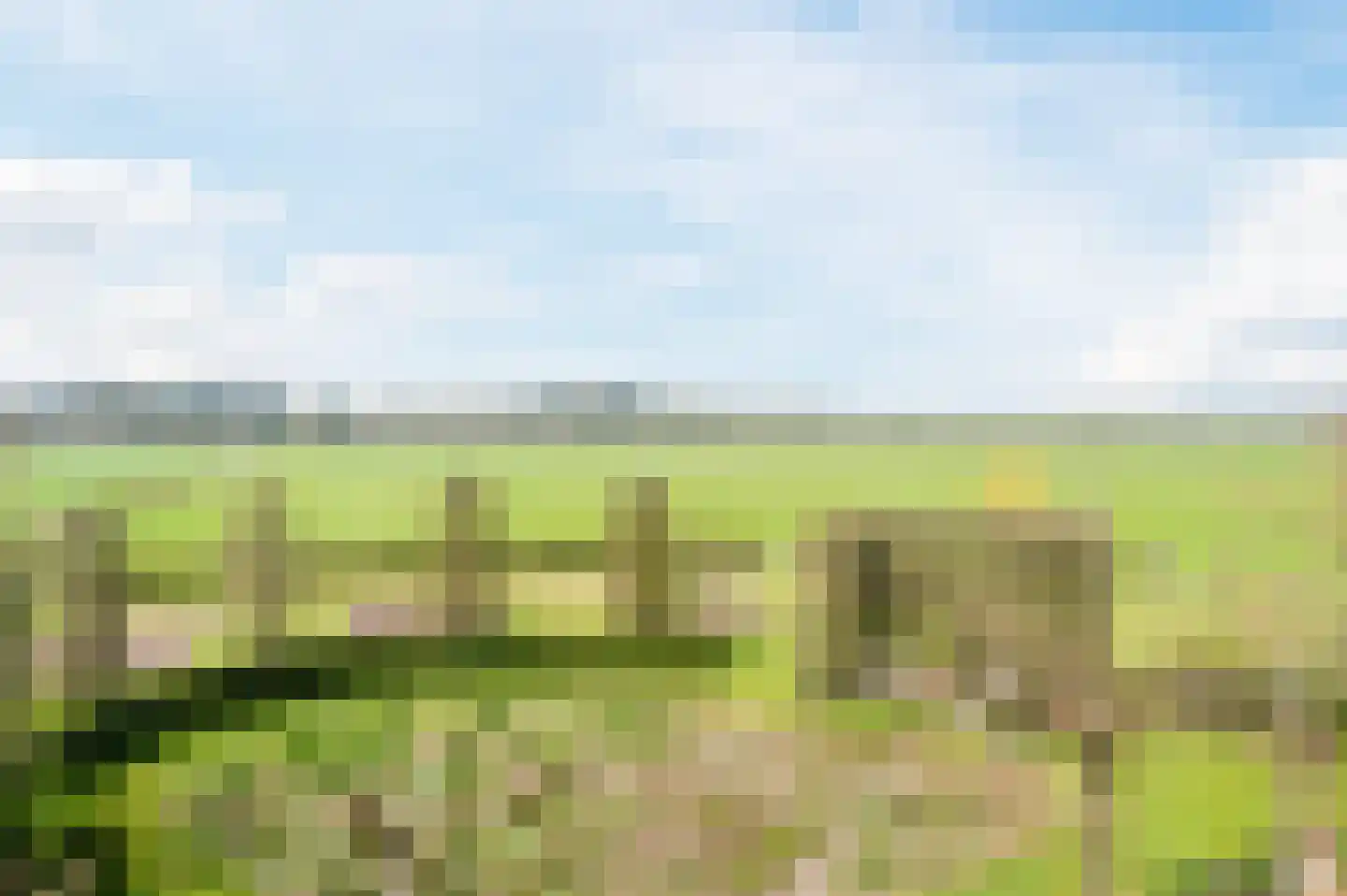 Vlaamseweg 10 Sterksel thumbnail 46