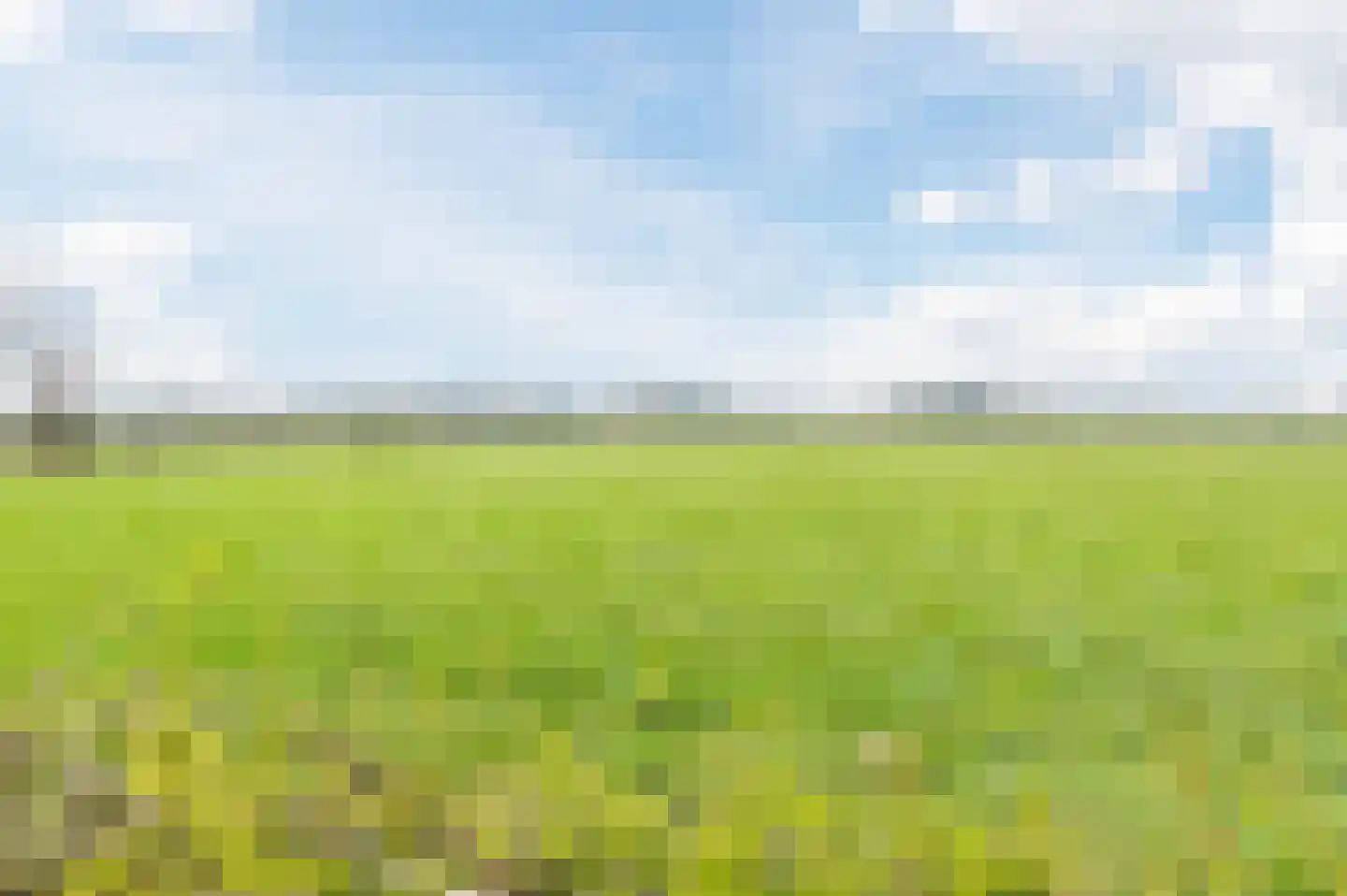Vlaamseweg 10 Sterksel thumbnail 48
