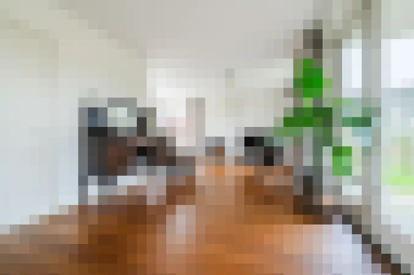 Vlaamseweg 10 Sterksel thumbnail 7