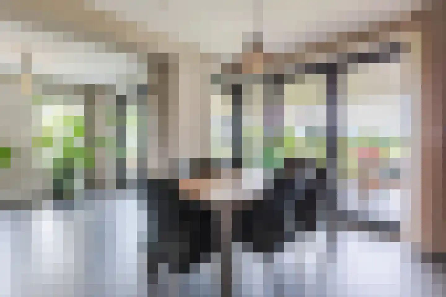Vlaamseweg 18 a Sterksel thumbnail 17