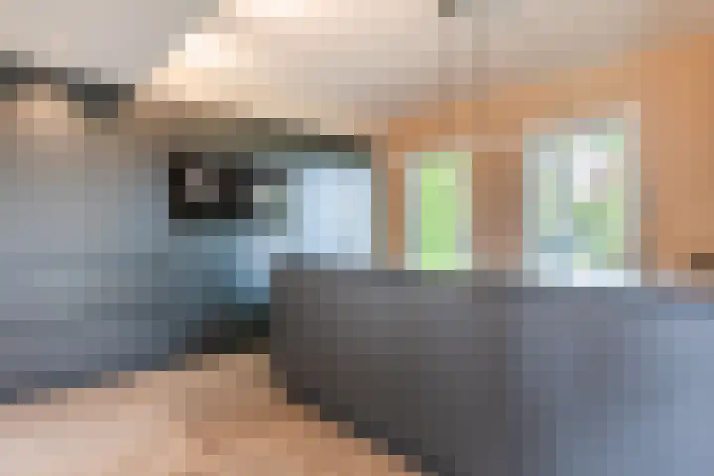 Vlaamseweg 18 a Sterksel thumbnail 18