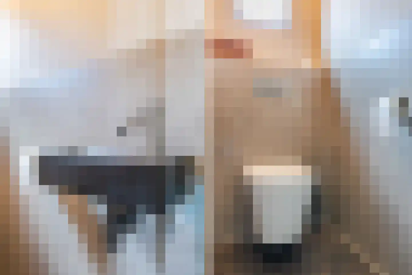 Vlaamseweg 18 a Sterksel thumbnail 24