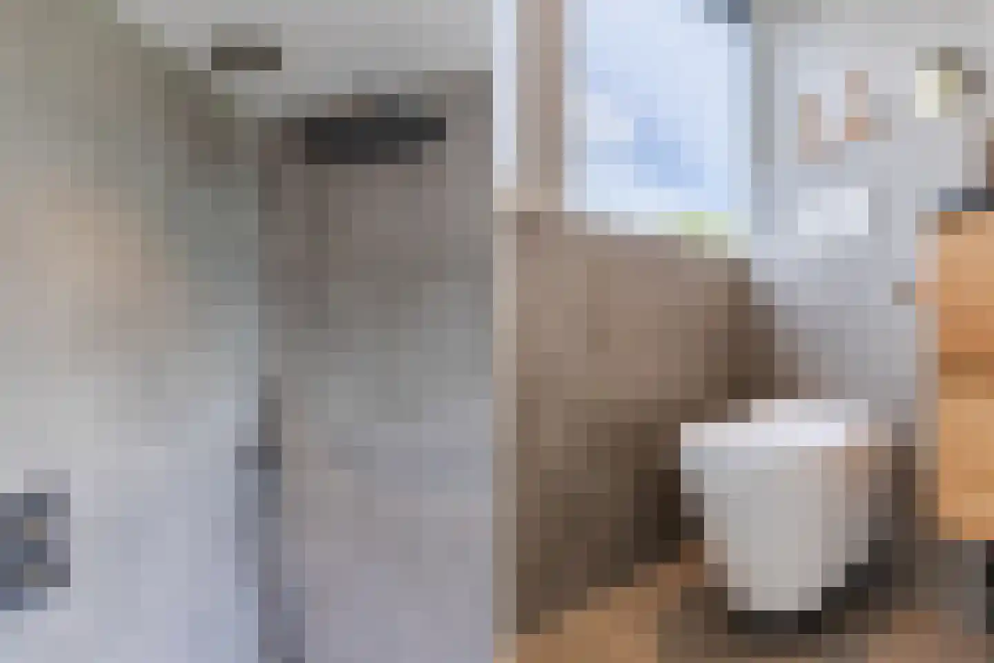 Vlaamseweg 18 a Sterksel thumbnail 35