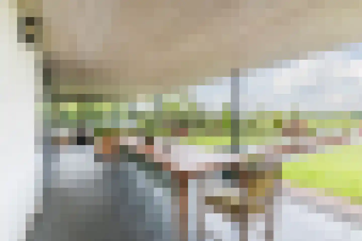 Vlaamseweg 18 a Sterksel thumbnail 38