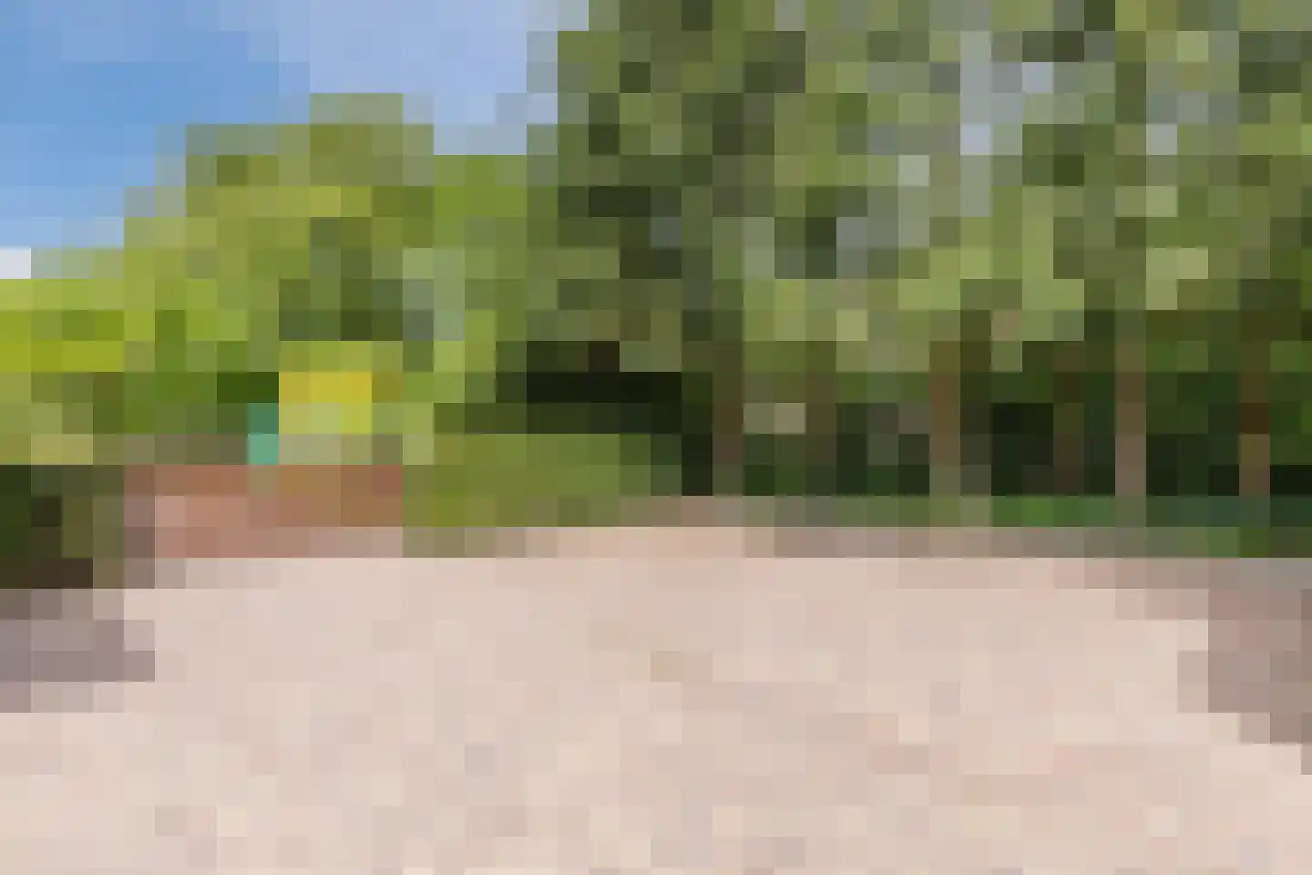 Vlaamseweg 18 a Sterksel thumbnail 40
