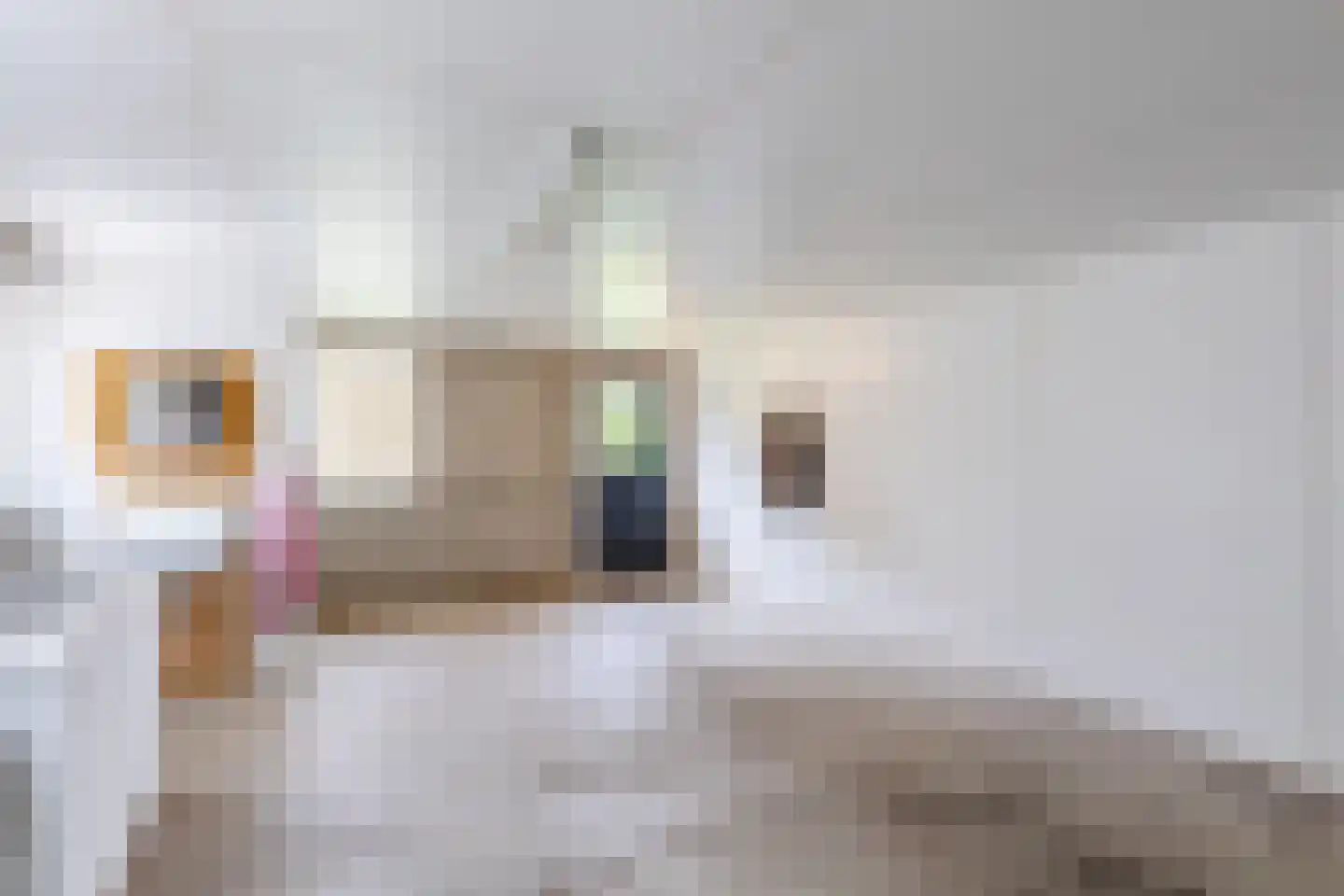 Vlaamseweg 18 a Sterksel thumbnail 48