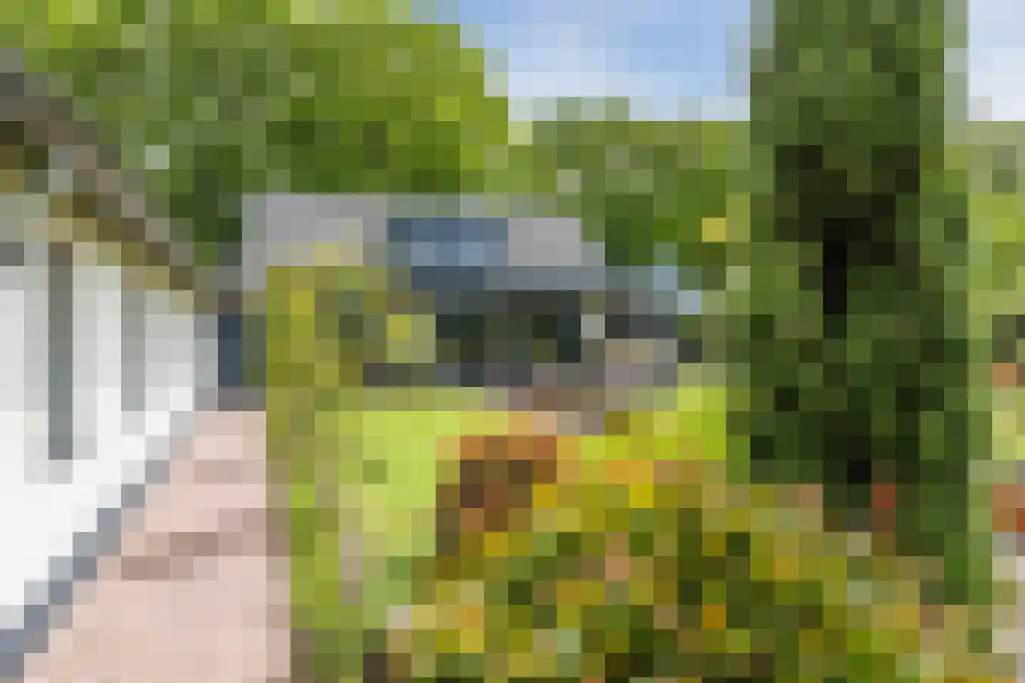 Vlaamseweg 18 a Sterksel thumbnail 53