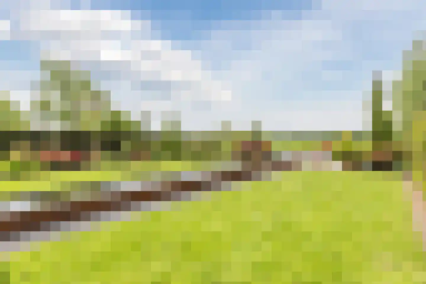 Vlaamseweg 18 a Sterksel thumbnail 59