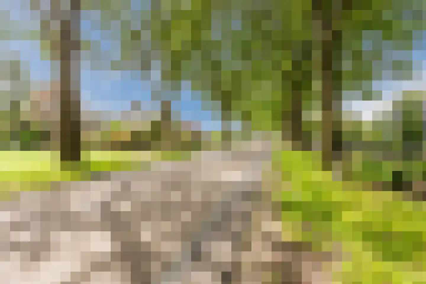Vlaamseweg 18 a Sterksel thumbnail 61