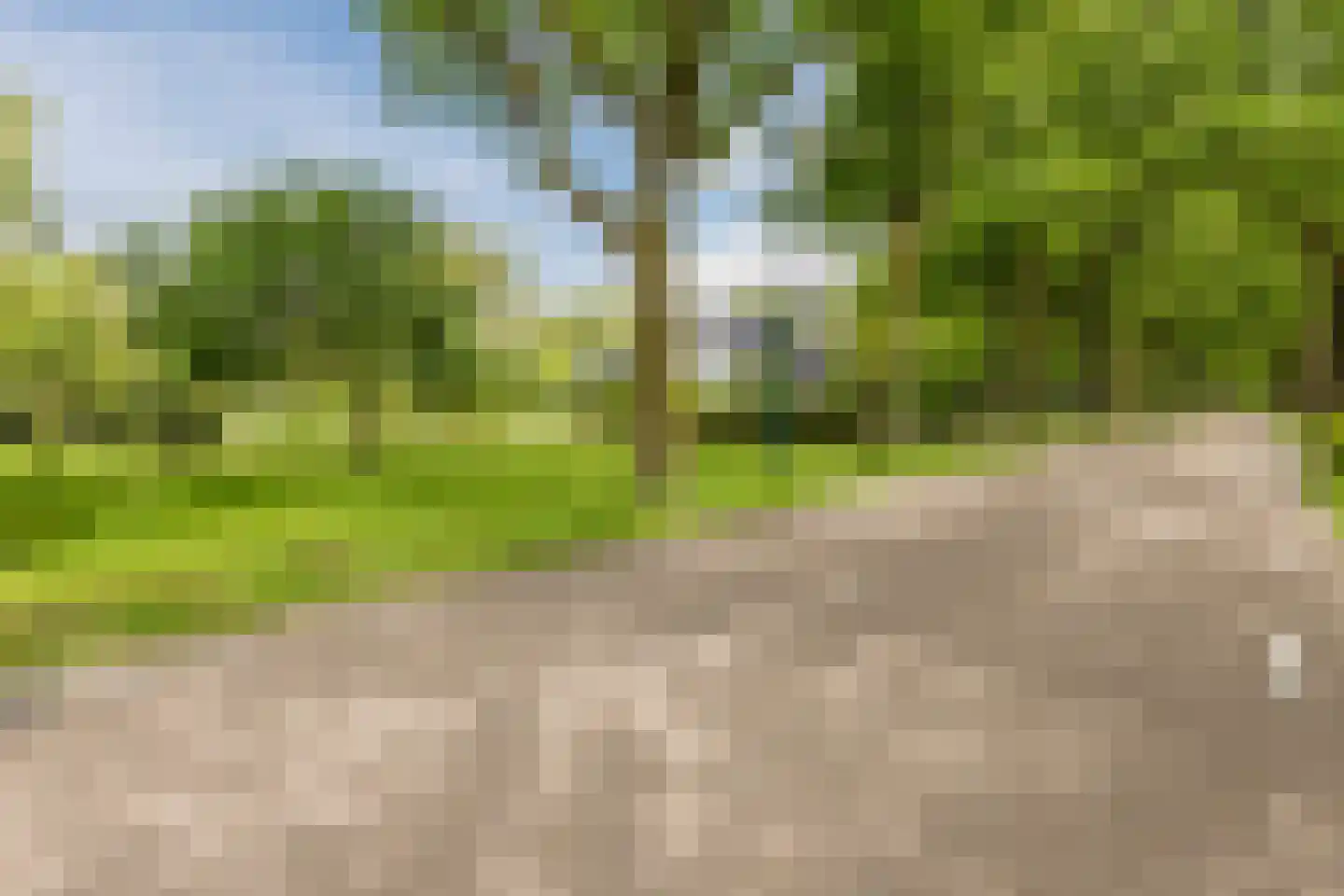 Vlaamseweg 18 a Sterksel thumbnail 62