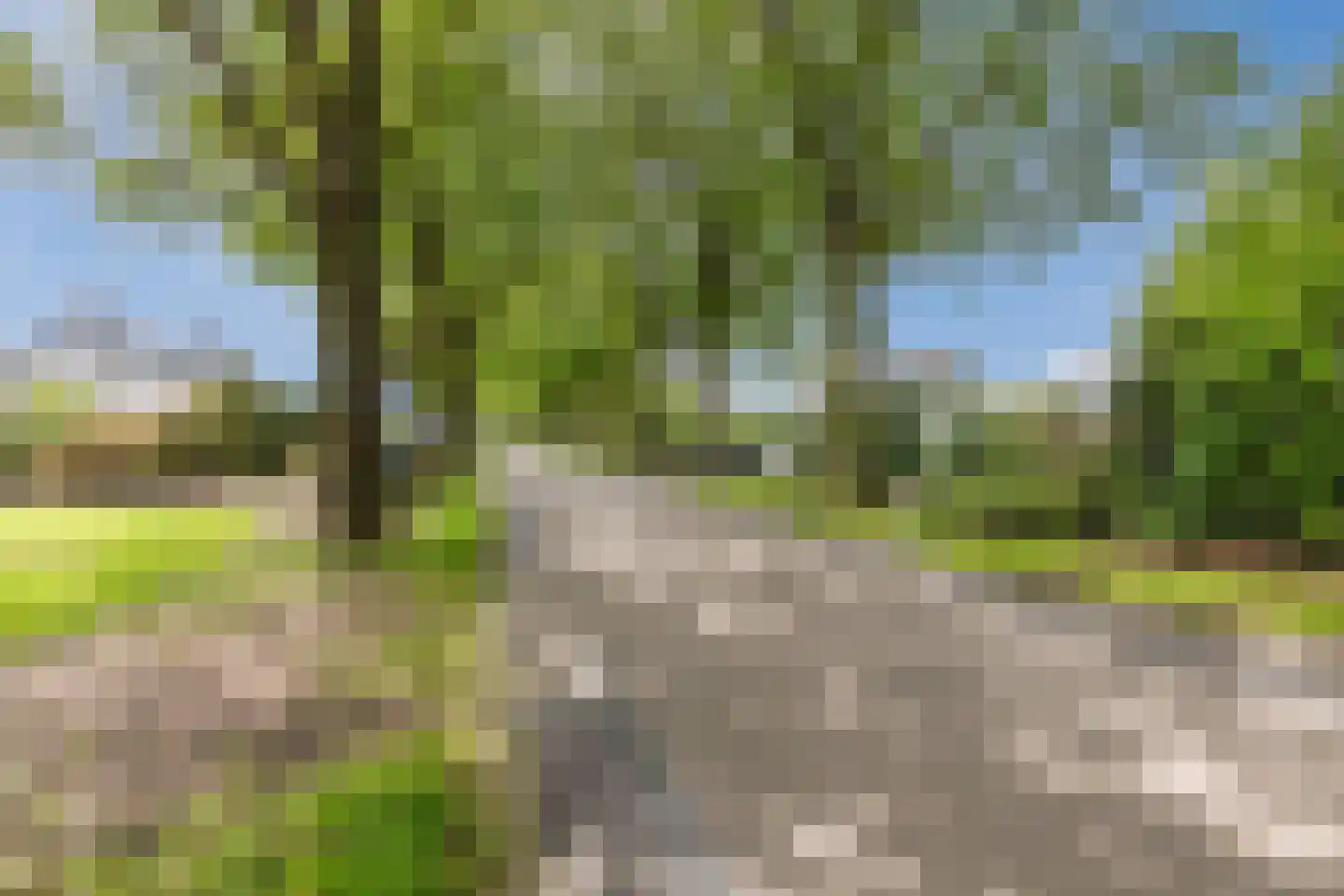 Vlaamseweg 18 a Sterksel thumbnail 63
