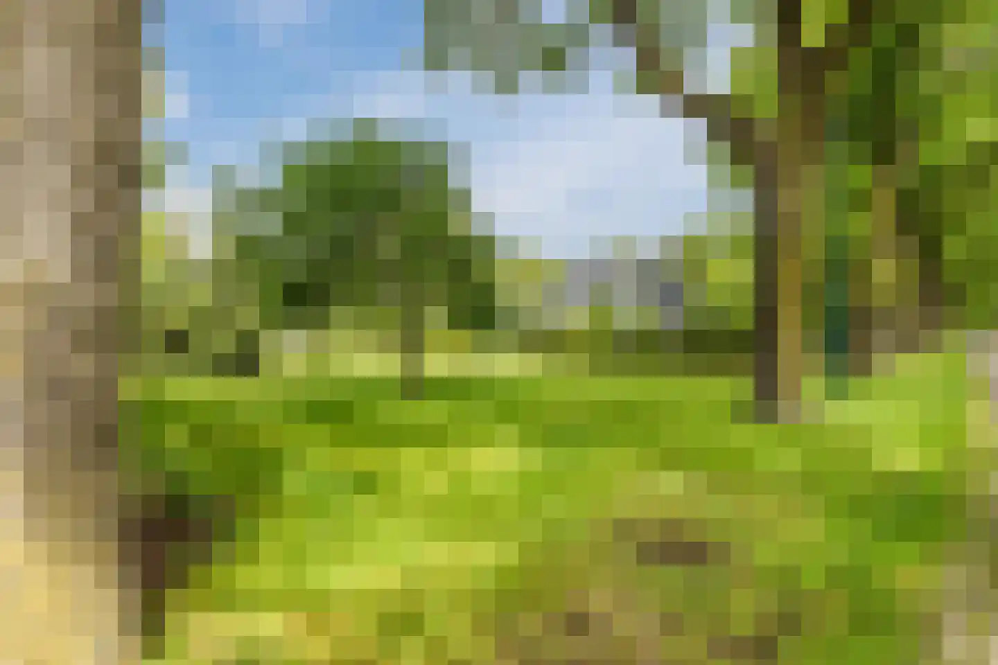 Vlaamseweg 18 a Sterksel thumbnail 64