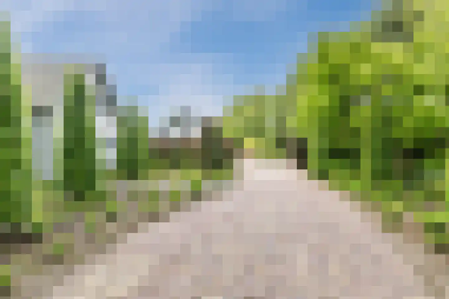Vlaamseweg 18 a Sterksel thumbnail 8