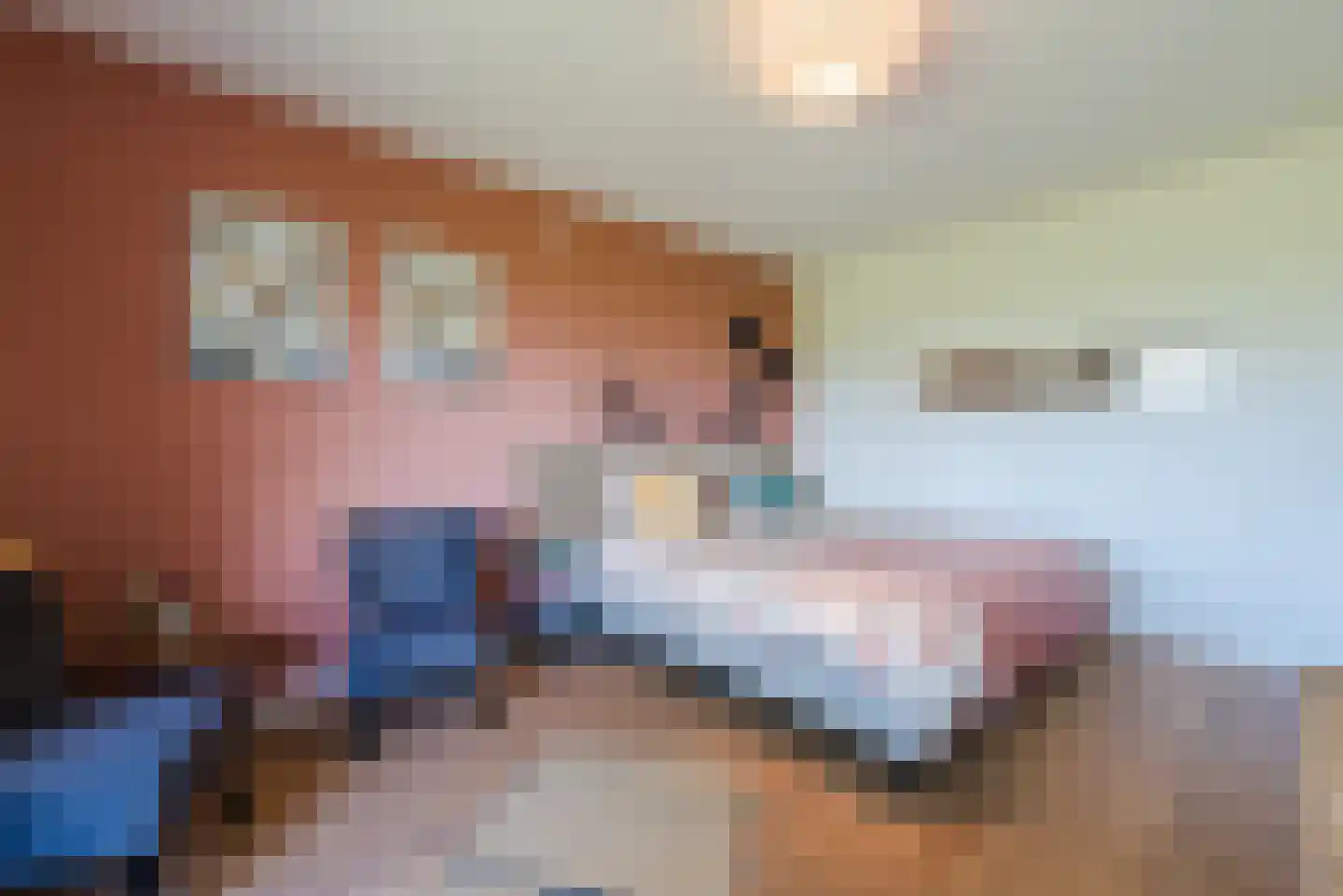 Vlaamseweg 7 a Sterksel thumbnail 13