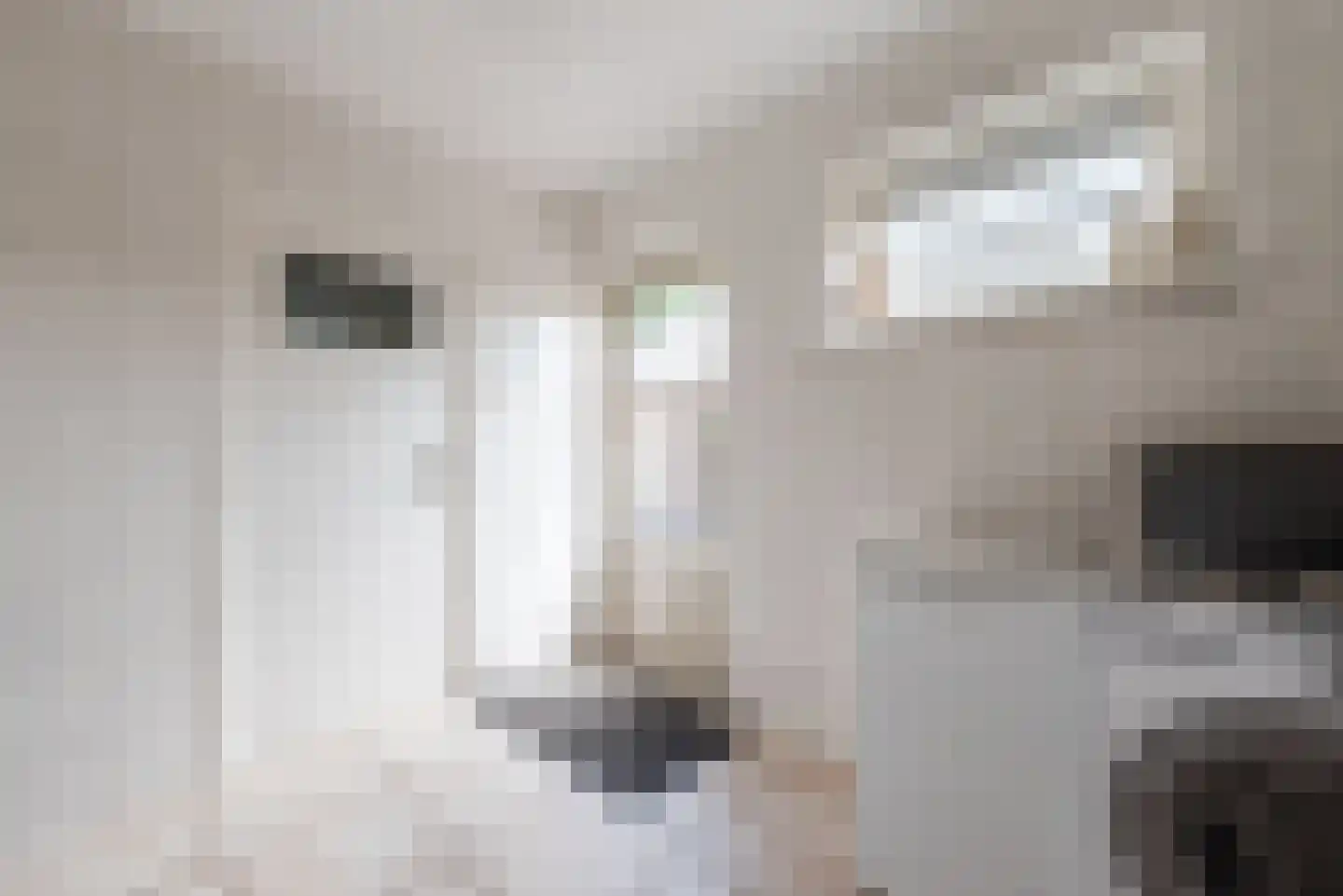 Vlaamseweg 7 a Sterksel thumbnail 16