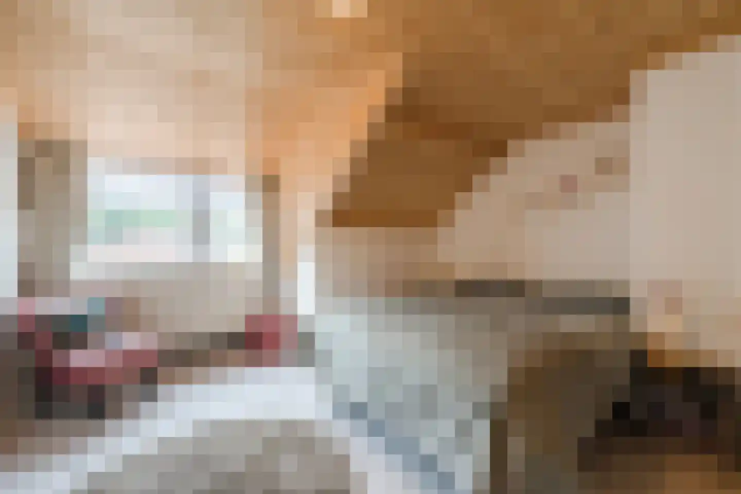 Vlaamseweg 7 a Sterksel thumbnail 17