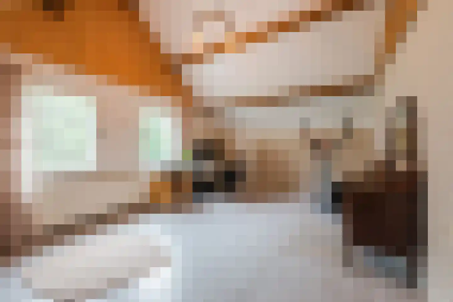 Vlaamseweg 7 a Sterksel thumbnail 21