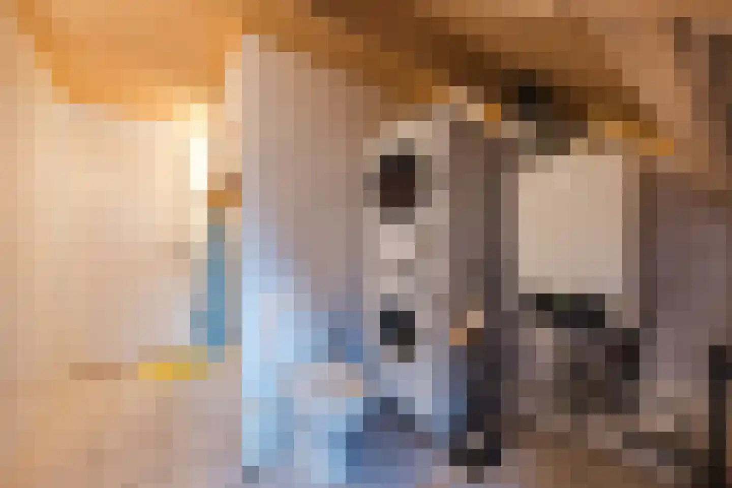 Vlaamseweg 7 a Sterksel thumbnail 23