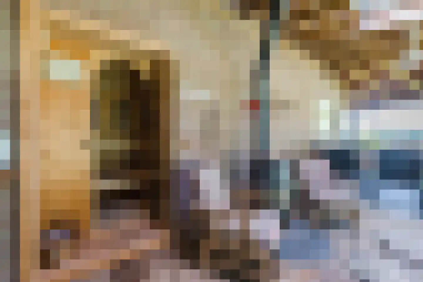 Vlaamseweg 7 a Sterksel thumbnail 33