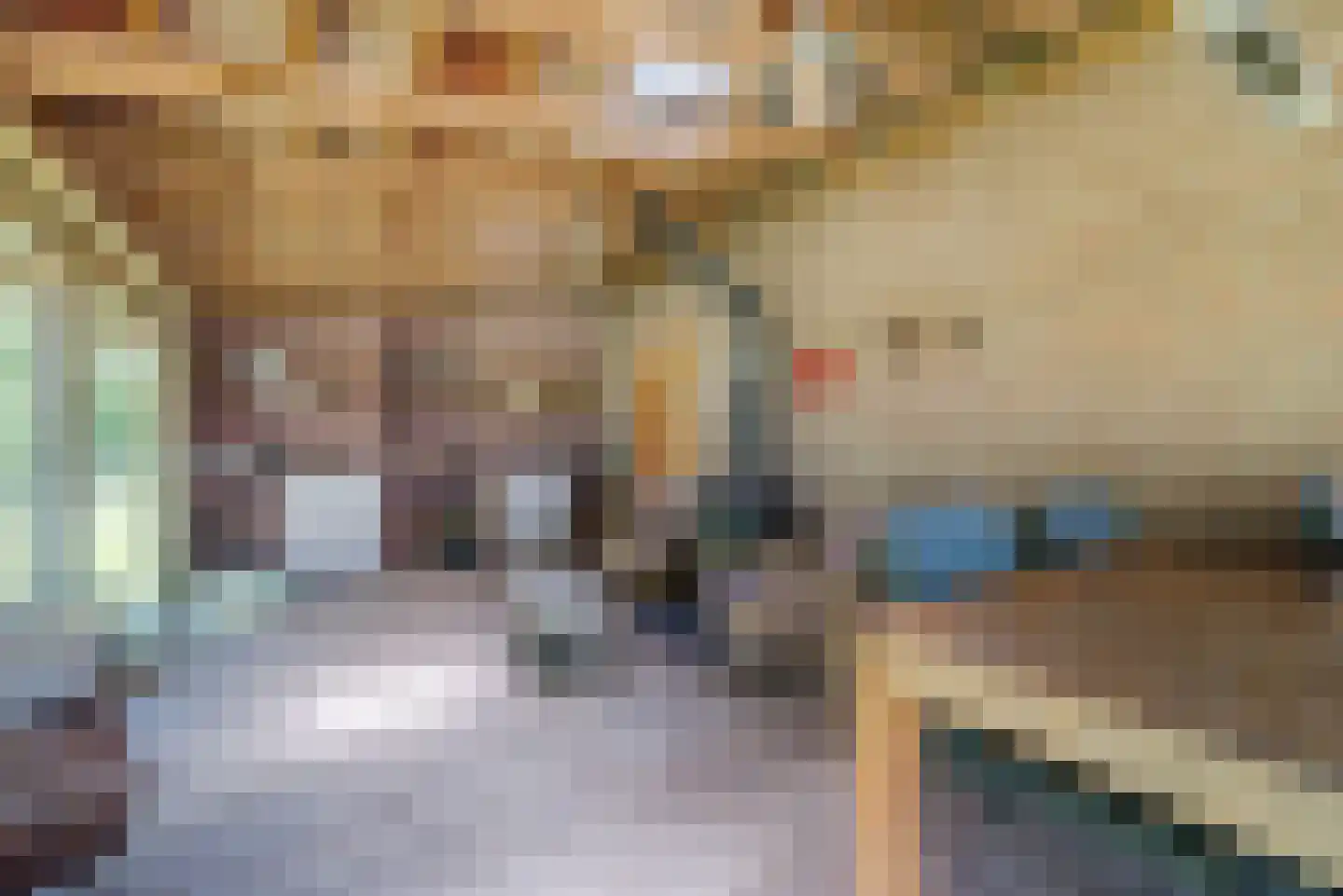 Vlaamseweg 7 a Sterksel thumbnail 34