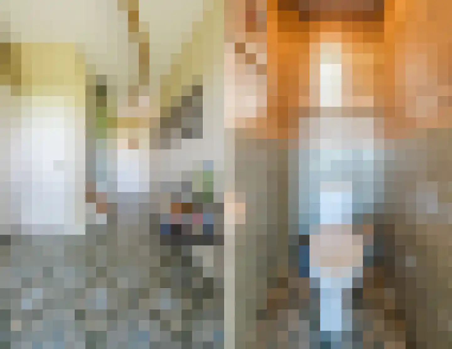 Vlaamseweg 7 a Sterksel thumbnail 4