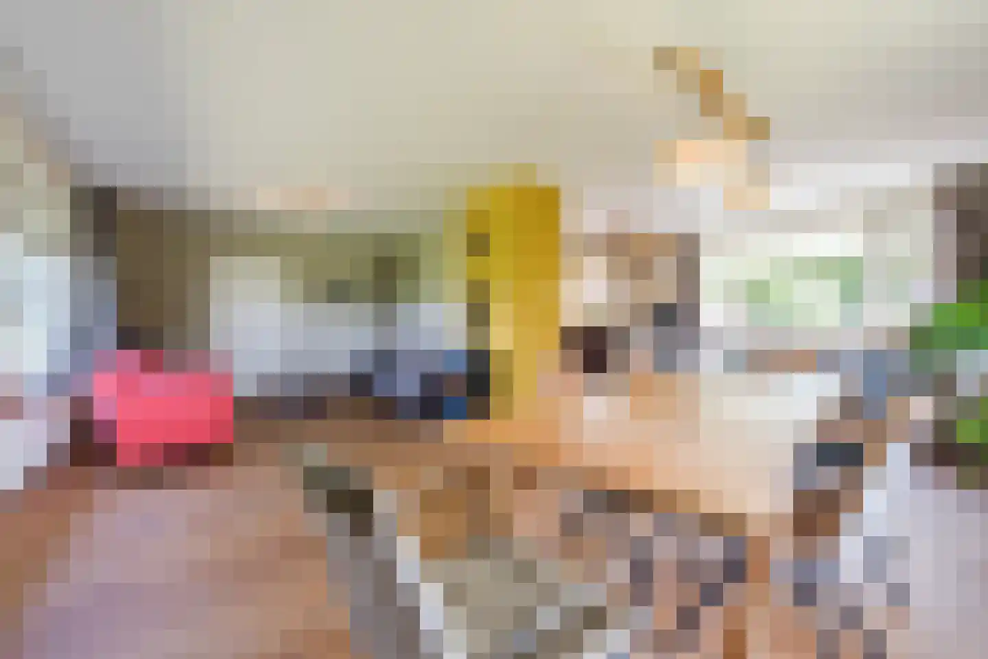 Vlaamseweg 7 a Sterksel thumbnail 6