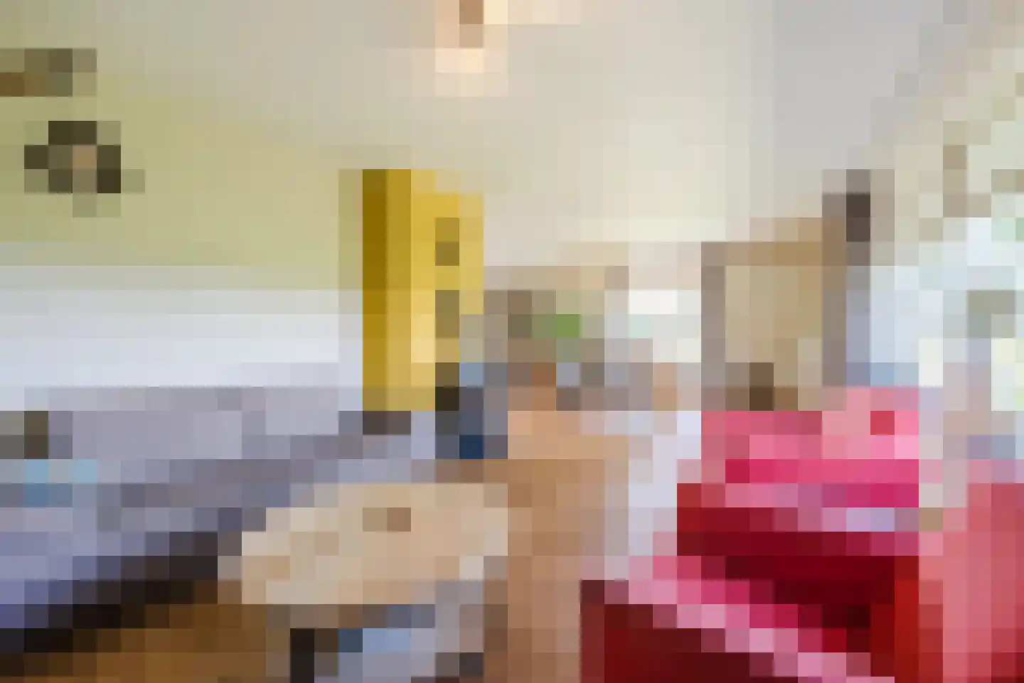 Vlaamseweg 7 a Sterksel thumbnail 7