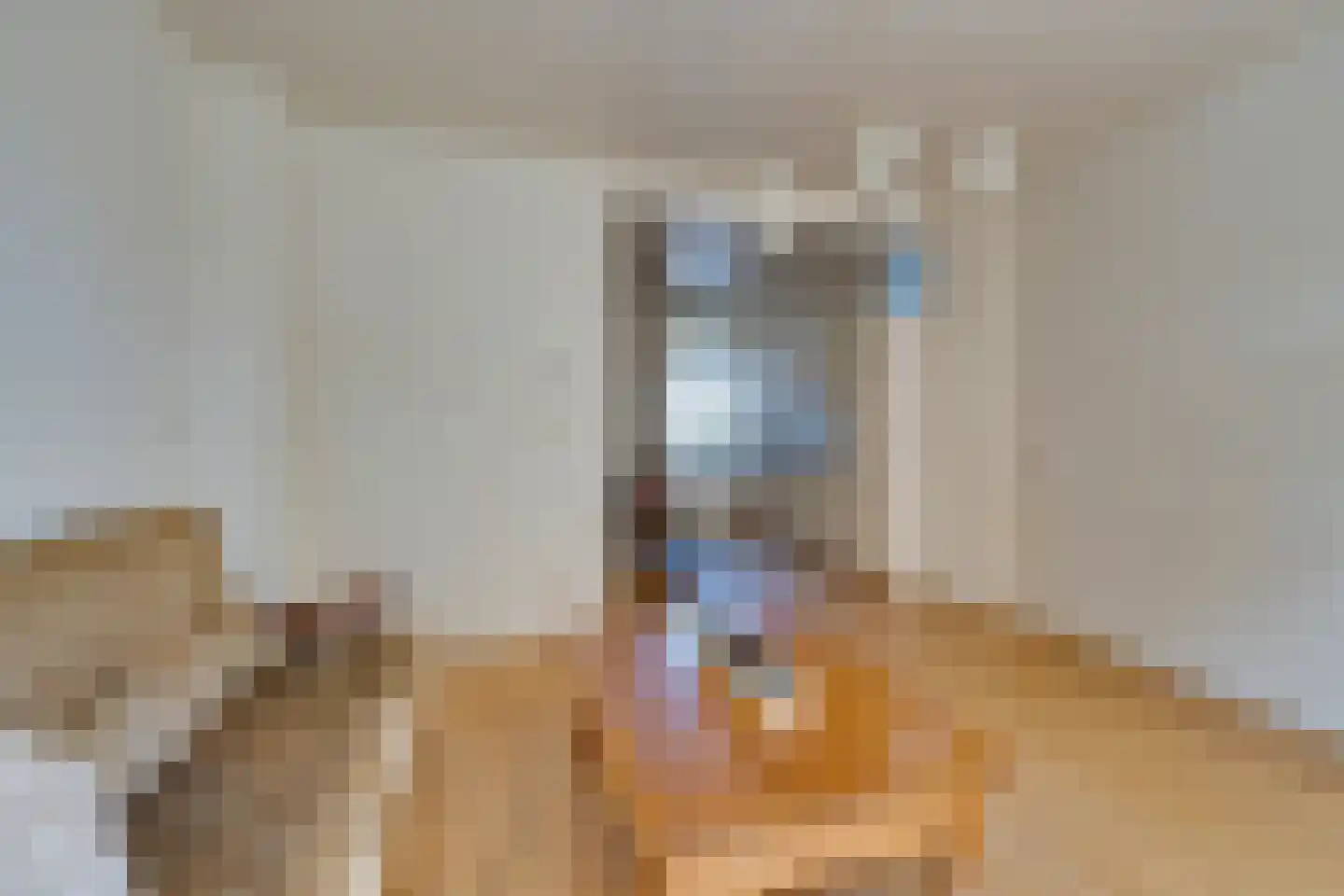 Vlaander 2 De Rijp thumbnail 12