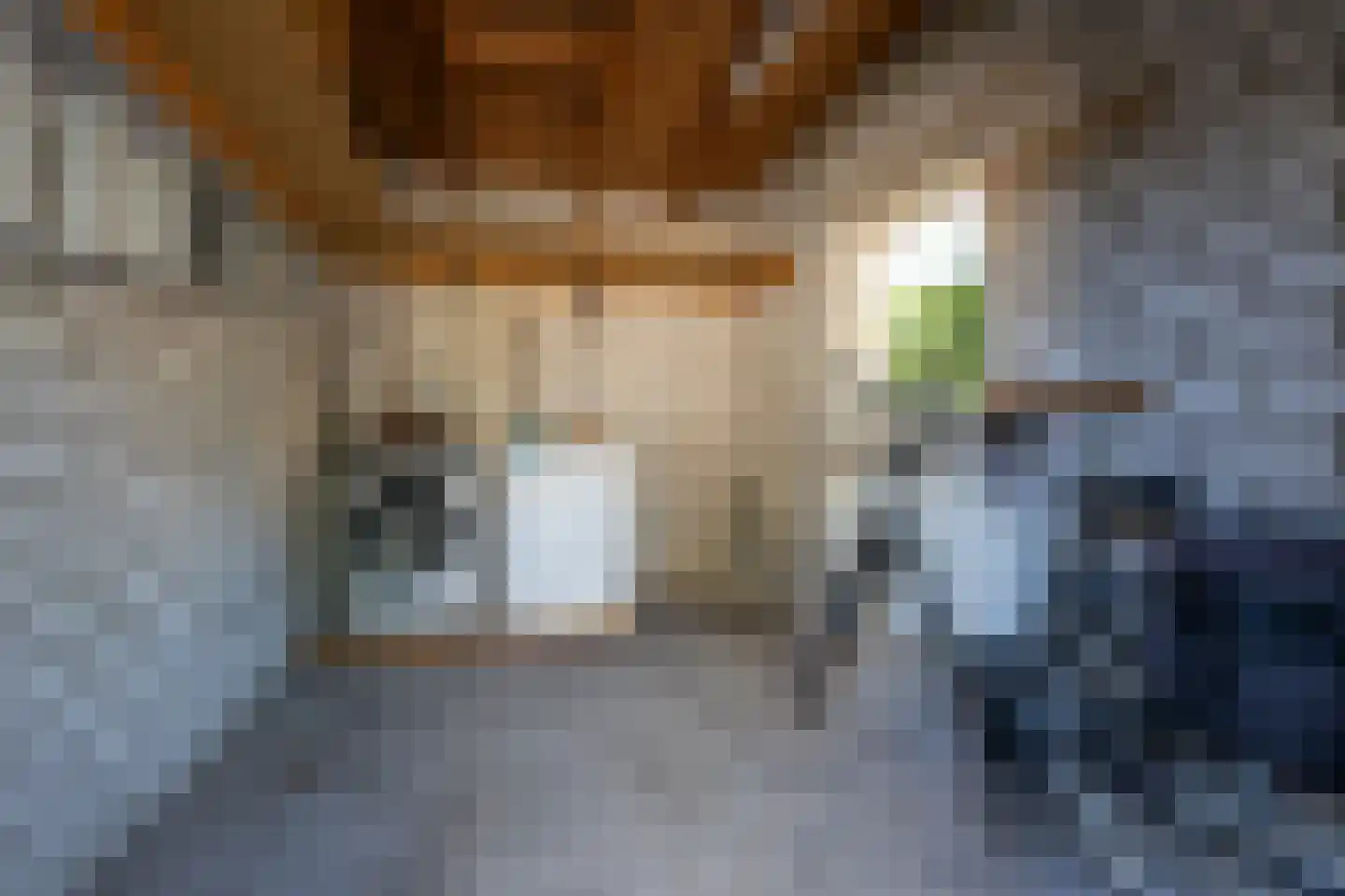 Vlaander 2 De Rijp thumbnail 30