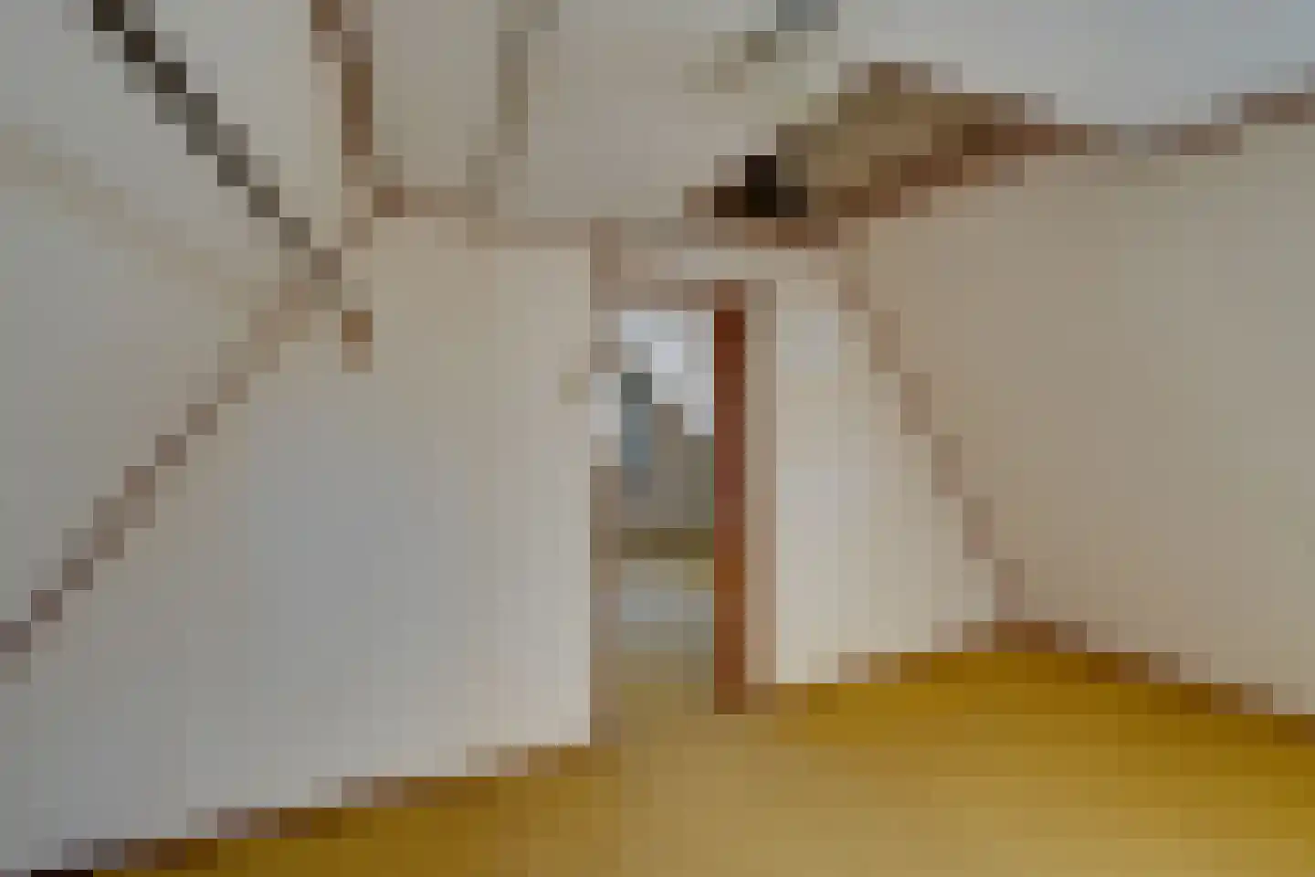 Vlaander 2 De Rijp thumbnail 33