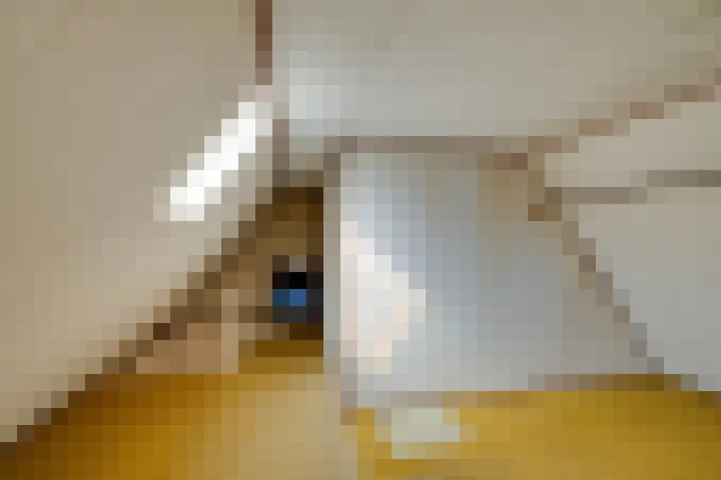 Vlaander 2 De Rijp thumbnail 36