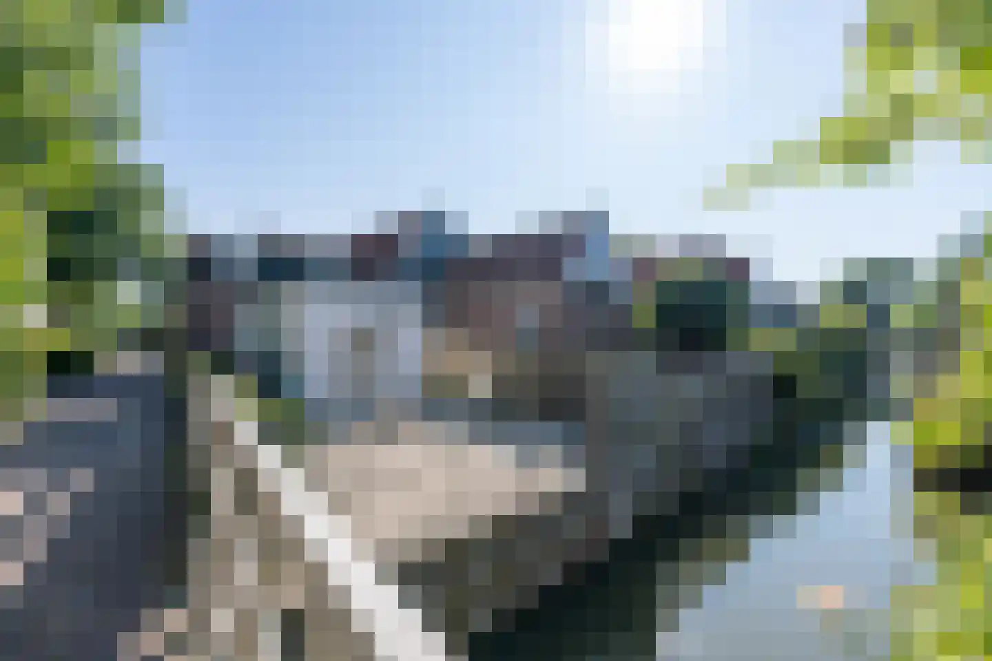 Vlaander 2 De Rijp thumbnail 4