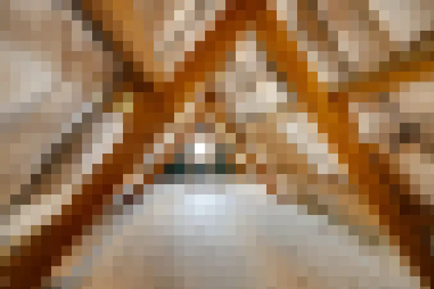 Vlaander 2 De Rijp thumbnail 40