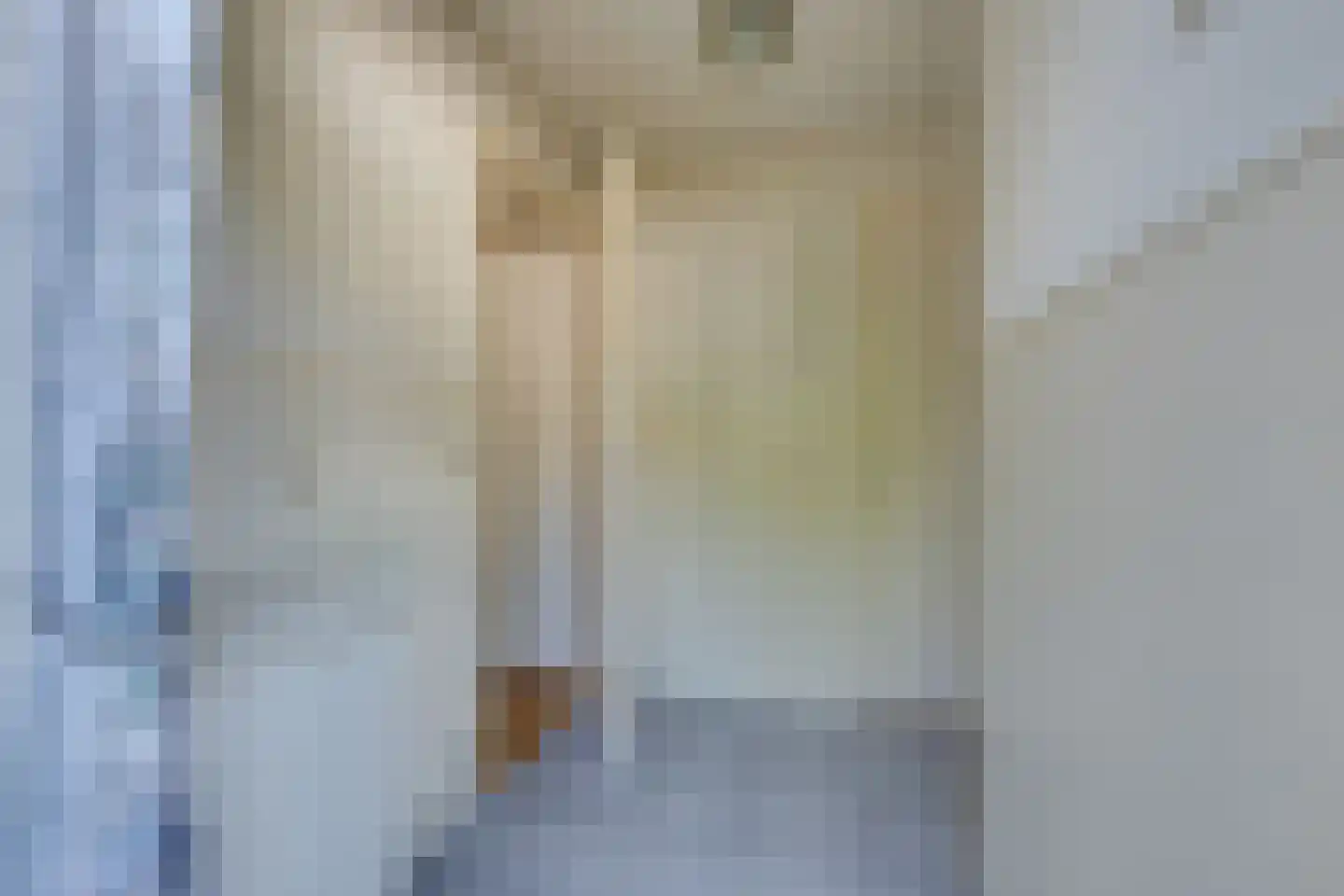 Vlaander 2 De Rijp thumbnail 7